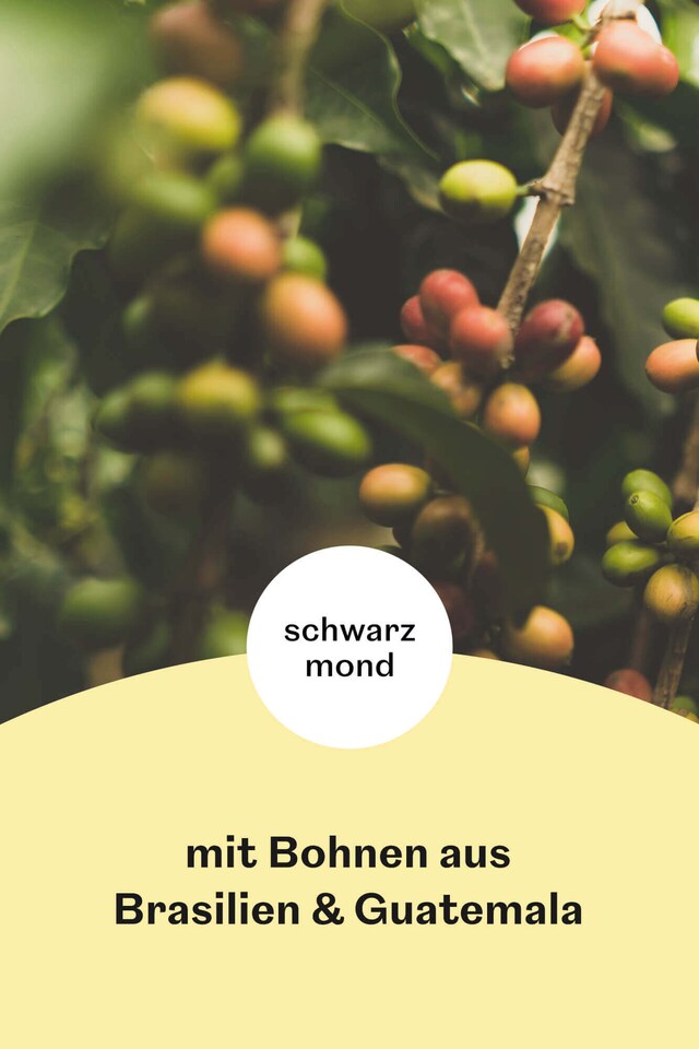 Schwarzmond Merkur