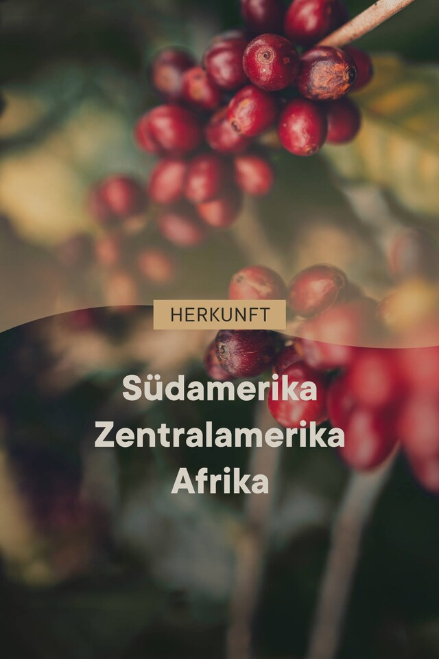 roastmarket Coffee Blend 1kg 8