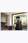 Eureka Mignon Zero 65 All Purpose Coffee Grinder Chrome