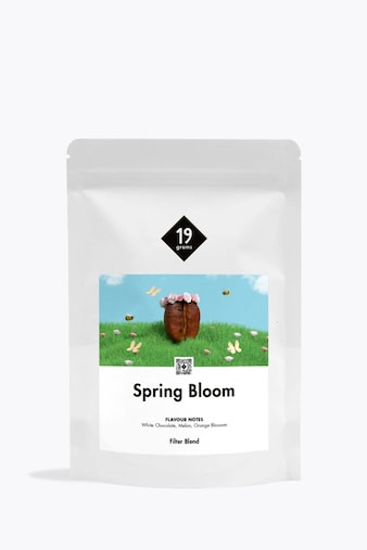 19grams Spring Bloom Filter Blend #2 250g