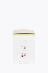 Chemex-Filter FS-100 für 5-10 Cups 100 Pieces