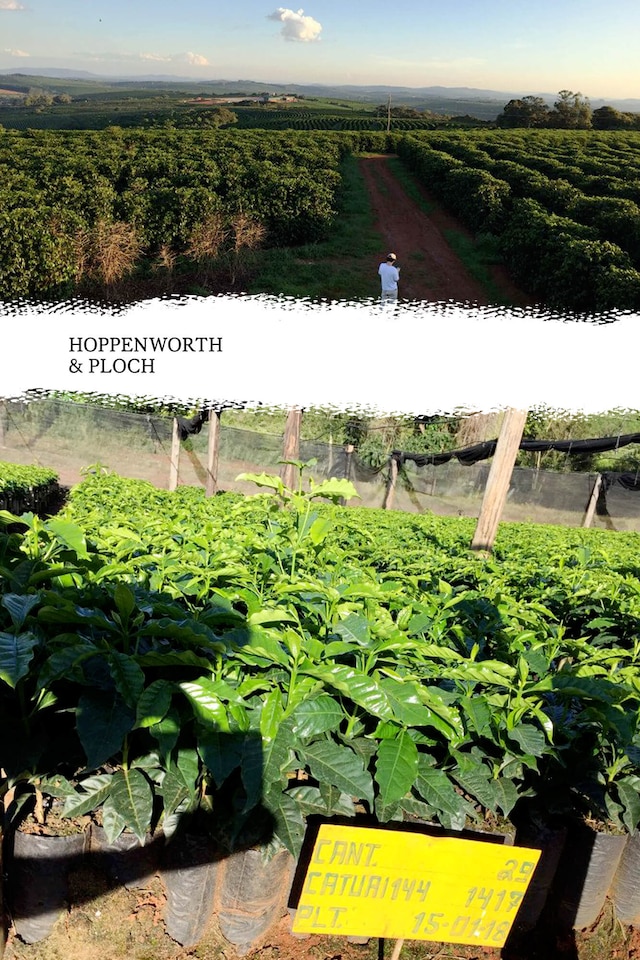Fazenda de Lagoa