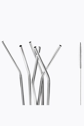 Motta 6 Stainless Steel Straws with Brush