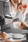 Gaggia Classic Evo Pro E24 Inox